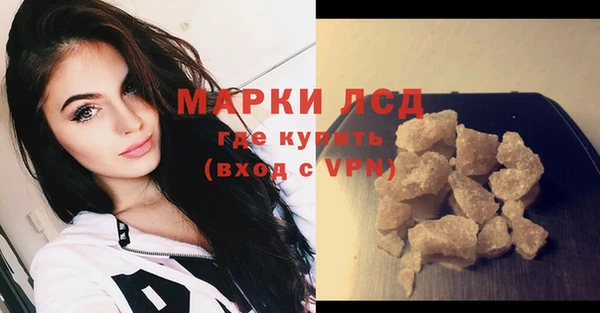 прущие грибы Новокубанск