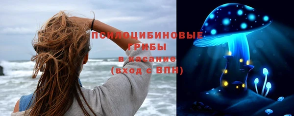 прущие грибы Новокубанск