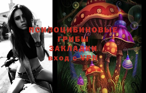 а пвп мука Новозыбков