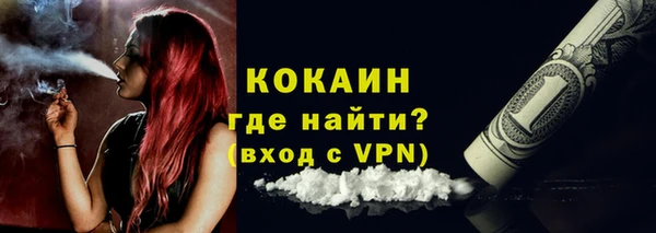 прущие грибы Новокубанск