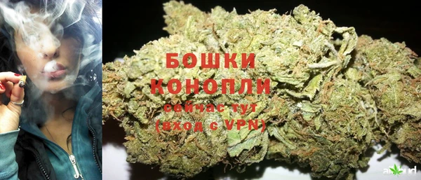 прущие грибы Новокубанск