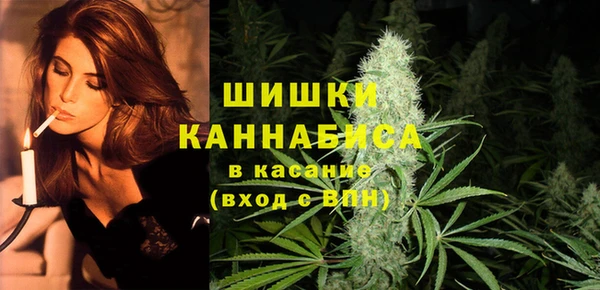 прущие грибы Новокубанск