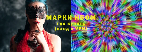 прущие грибы Новокубанск