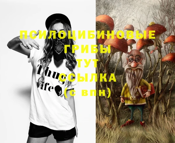 а пвп мука Новозыбков