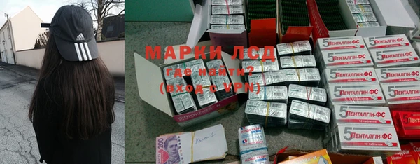 прущие грибы Новокубанск