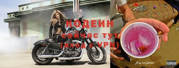 герыч Новодвинск