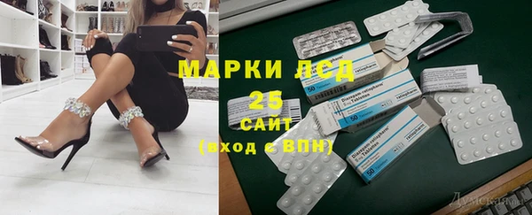 прущие грибы Новокубанск