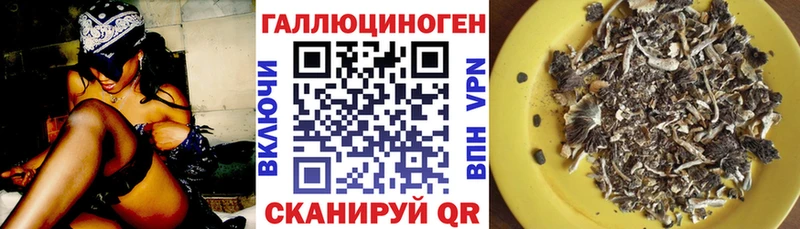 цены наркотик  Чебоксары  Галлюциногенные грибы Psilocybe 