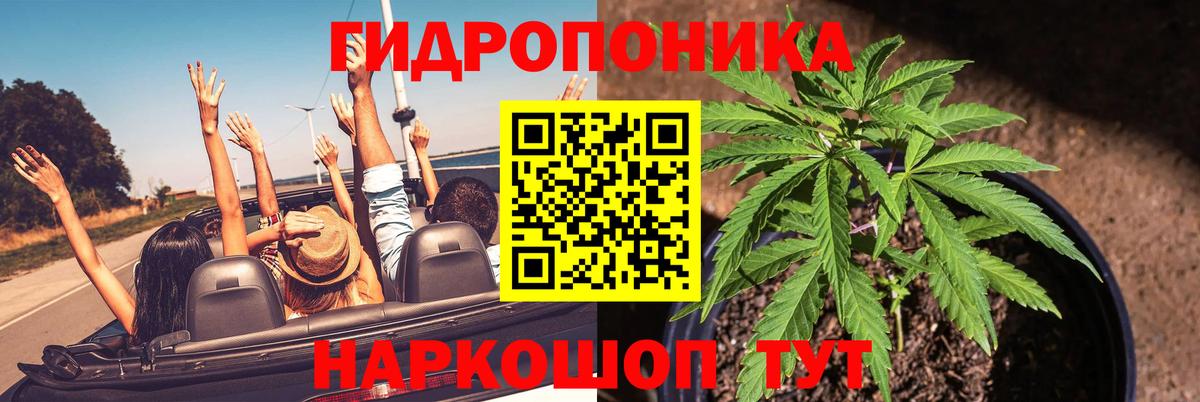 Конопля White Widow Чебоксары